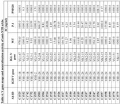 Figure imgf000351_0001