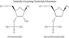Figure US07348391-20080325-C00002