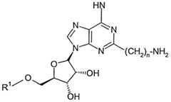Figure imgf000015_0002