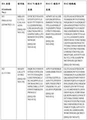 Figure BDA0004089703340001621