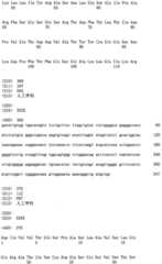 Figure RE-ISB0000195685460001391