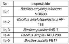 Figure imgf000022_0002
