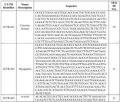 Figure imgf000053_0001