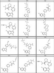 Figure BDA0000106649180000451