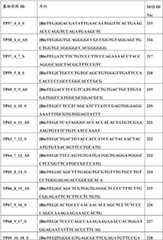 Figure BDA0000059233380000691