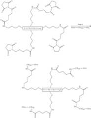 Figure US09005985-20150414-C00005