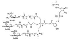 Figure 2023113843000601