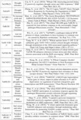 Figure PCTCN2022090268-appb-000096