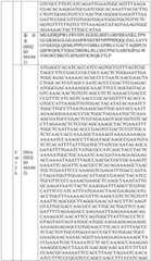 Figure BDA0004033970230007031