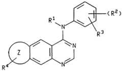 Figure imgf000004_0001