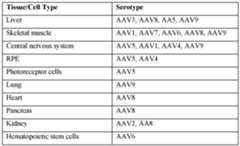 Figure imgf000081_0001