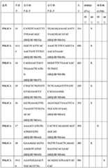 Figure BDA0000059233380000311