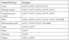 Figure imgf000078_0001
