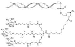 Figure imgf000007_0001