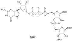 Figure JPOXMLDOC01-appb-C000015
