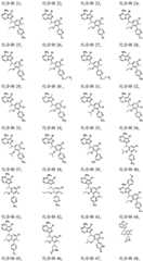 Figure FDA0003481820600000051