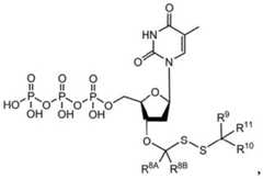 Figure BDA0003670511740003432