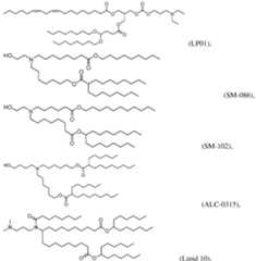 Figure imgf000095_0001