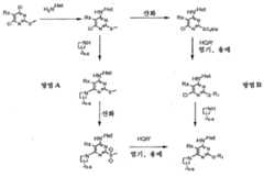 Figure 112008039273174-PCT00055