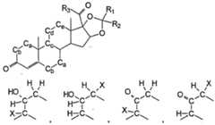 Figure imgf000004_0001