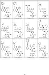 Figure imgf000086_0001