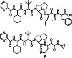 Figure BSA00000606821201391
