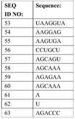 Figure PCTCN2022095749-appb-000017