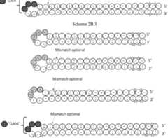 Figure imgf000072_0003