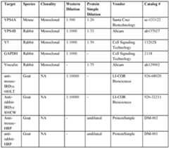 Figure imgf000090_0001