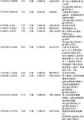 Figure BPA00001280678302491