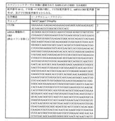 Figure 0007438604000096