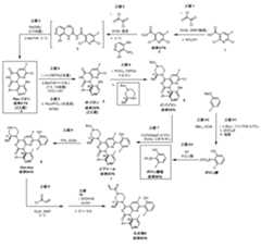 Figure 0007377679000039