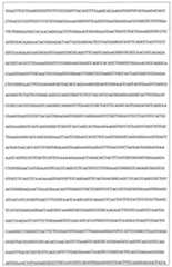 Figure 108128641-A0202-12-0136-986