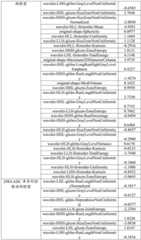 Figure GDA0003325264840000051