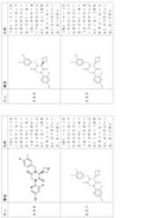 Figure 2024054409000203