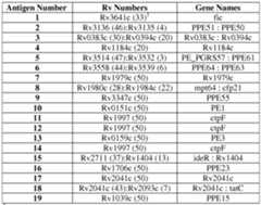 Figure imgf000062_0001