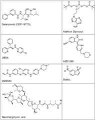 Figure imgf000018_0001