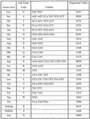 Figure imgf000025_0001