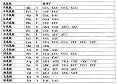 Figure A20088001523700361