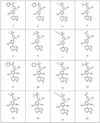 Figure BDA0002953599680000041