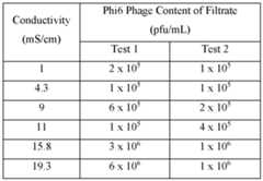Figure imgf000032_0001