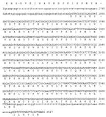 Figure 112002525353199-pct00012