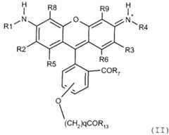 Figure imgf000012_0001