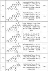 Figure GPA0000263212130001851