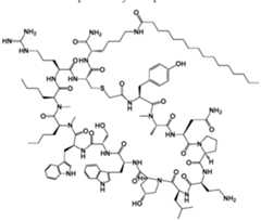 Figure imgf000169_0001