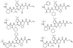 Figure imgf000306_0002