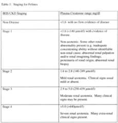 Figure imgf000059_0001