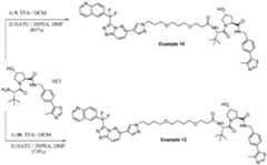 Figure imgf000313_0001