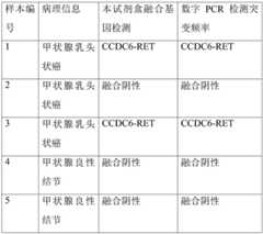 Figure BDA0002941617010000191