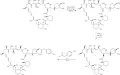 Figure US11364300-20220621-C00711